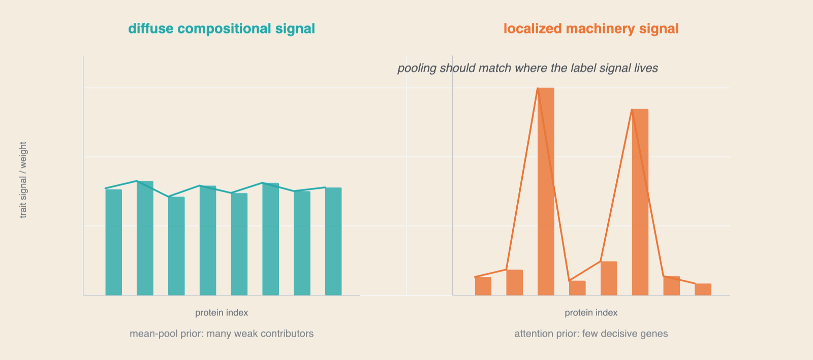Two bar charts: a diffuse compositional signal with many roughly equal contributors, versus a localized machinery signal concentrated in a few decisive proteins.