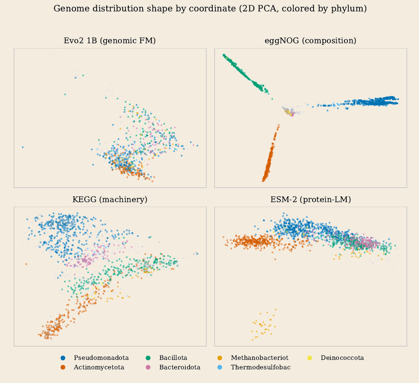 Four 2D PCA scatter plots (Evo2, eggNOG, KEGG, ESM-2) with points coloured by phylum. Genomes form visibly lineage-specific groups rather than one round Gaussian cloud.