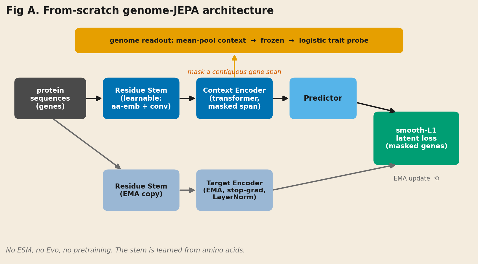 Architecture schematic. Protein sequences feed a learnable residue stem, then a context encoder over gene patches with a masked span, then a predictor; an EMA target encoder branch produces the prediction targets; a smooth-L1 latent loss compares them. The pooled context is read out with a logistic trait probe.