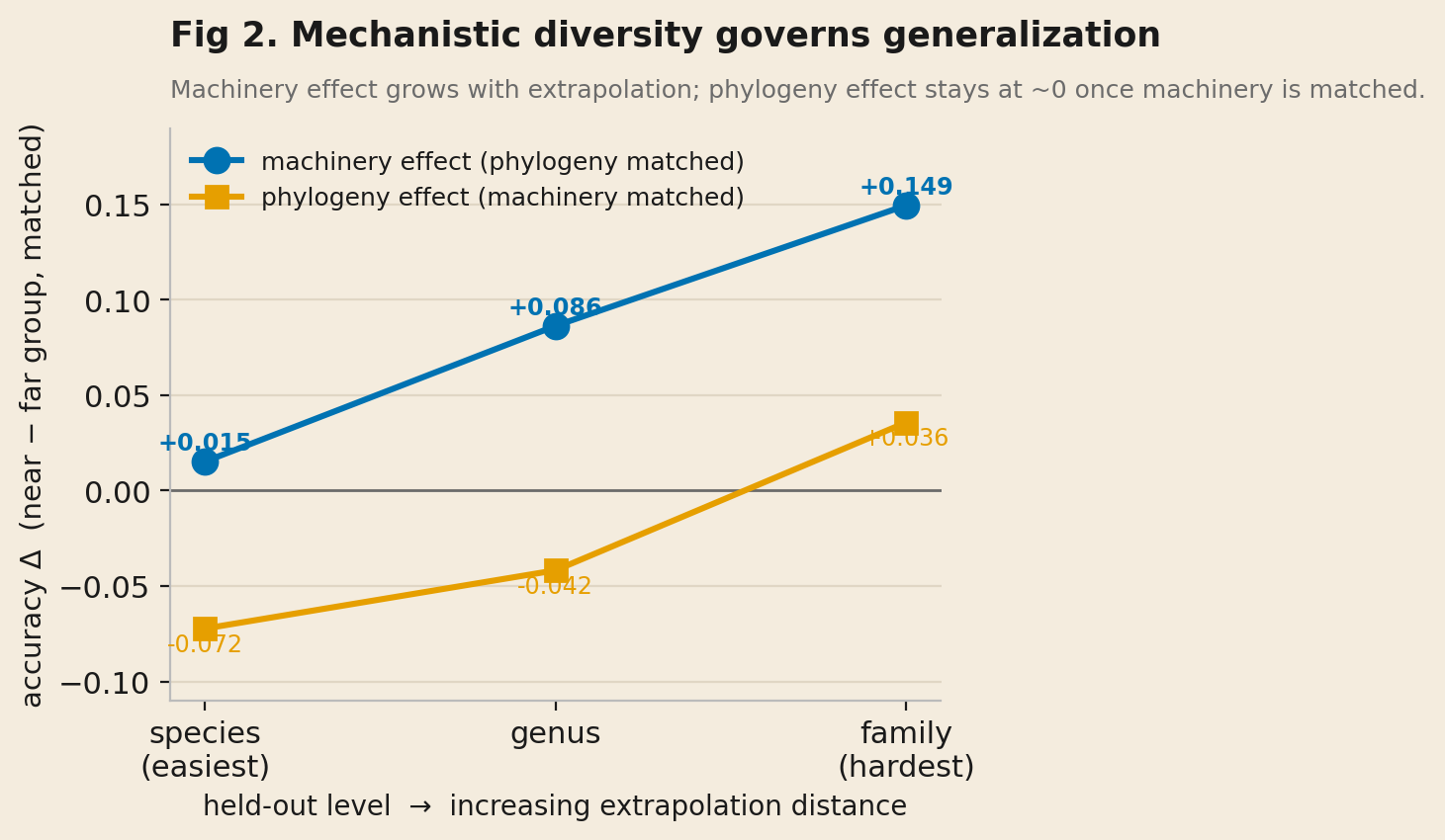 Line chart of matched-split accuracy delta versus held-out level (species, genus, family). The machinery effect with phylogeny matched rises from +0.015 to +0.086 to +0.149, while the phylogeny effect with machinery matched stays near or below zero.