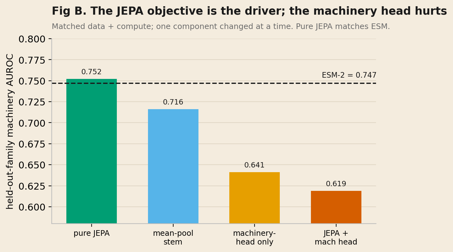 Bar chart of held-out-family machinery AUROC by configuration: pure JEPA 0.752 (highest, above the dashed ESM-2 reference line at 0.747), mean-pool stem 0.716, machinery-head only 0.641, JEPA plus machinery head 0.619.