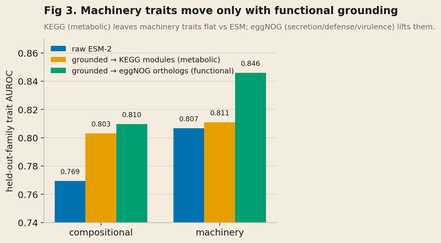 Grouped bar chart. For machinery traits, grounding in eggNOG functional orthologs reaches 0.846 while raw ESM-2 (0.807) and KEGG-module grounding (0.811) are flat; compositional traits move less.