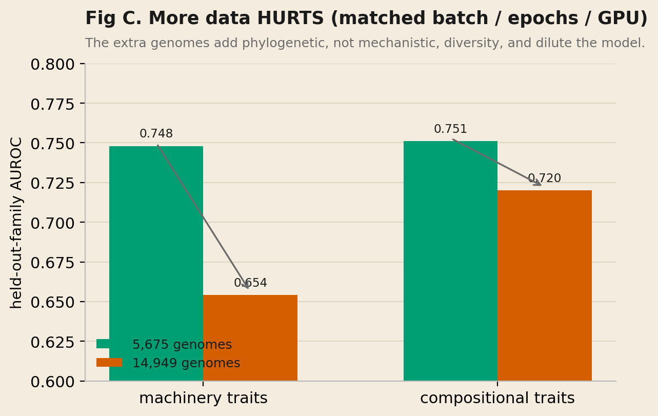 Grouped bar chart comparing 5,675 genomes and 14,949 genomes. On machinery traits the score falls from 0.748 to 0.654; on compositional traits from 0.751 to 0.720. Arrows point downward, indicating more data hurts.
