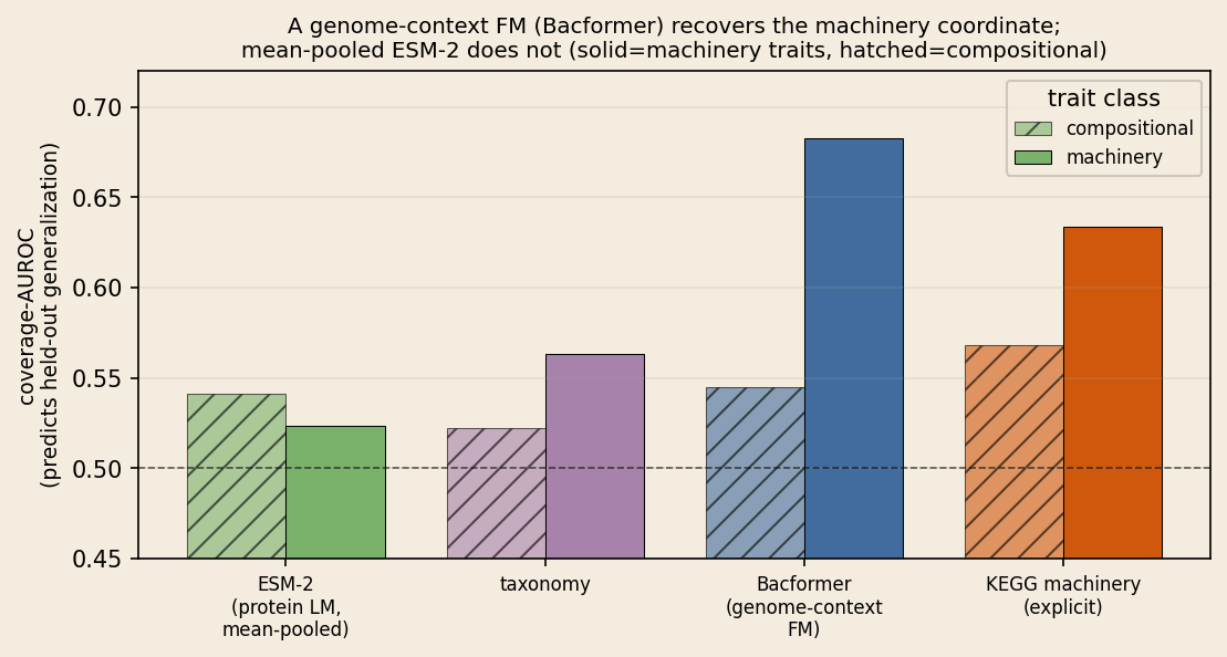 Bar chart of coverage-AUROC by coordinate and trait class on the Bacformer subset, with solid bars for machinery traits and hatched bars for compositional. For machinery traits, Bacformer (blue) and KEGG machinery (orange) predict generalization while mean-pooled ESM-2 (green) and taxonomy (purple) do not.
