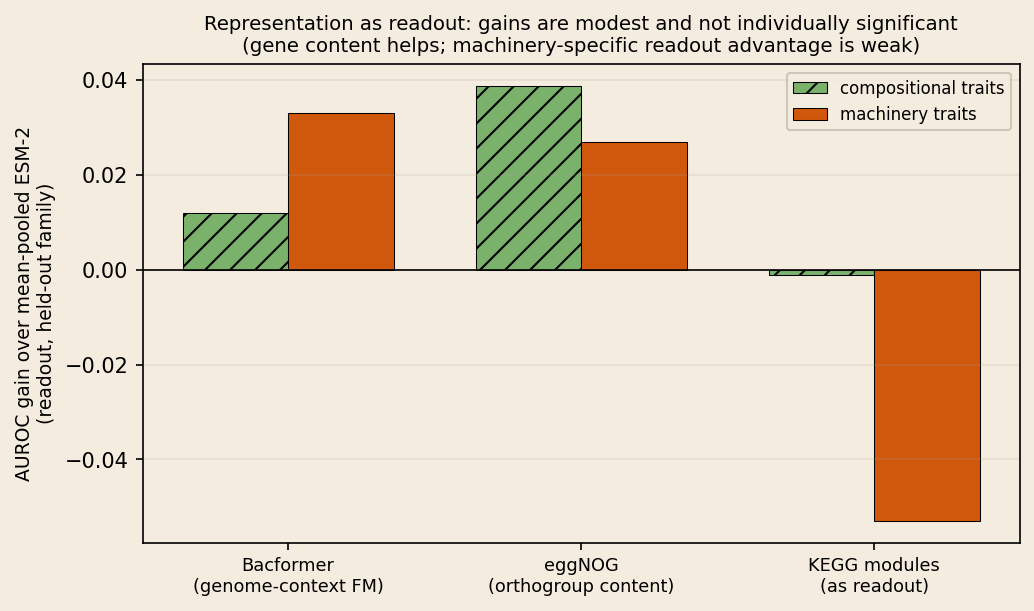 Bar chart of AUROC gain over mean-pooled ESM-2 as a readout under held-out-family evaluation. Bacformer only weakly and non-significantly trends toward helping machinery traits more (orange); eggNOG helps both trait classes; KEGG completeness is negative as a readout.