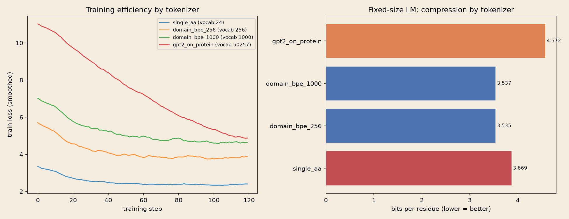 Left: training-loss curves by tokenizer at identical model size and compute. Right: horizontal bar chart of bits-per-residue, with domain BPE lowest and GPT-2 English BPE highest.
