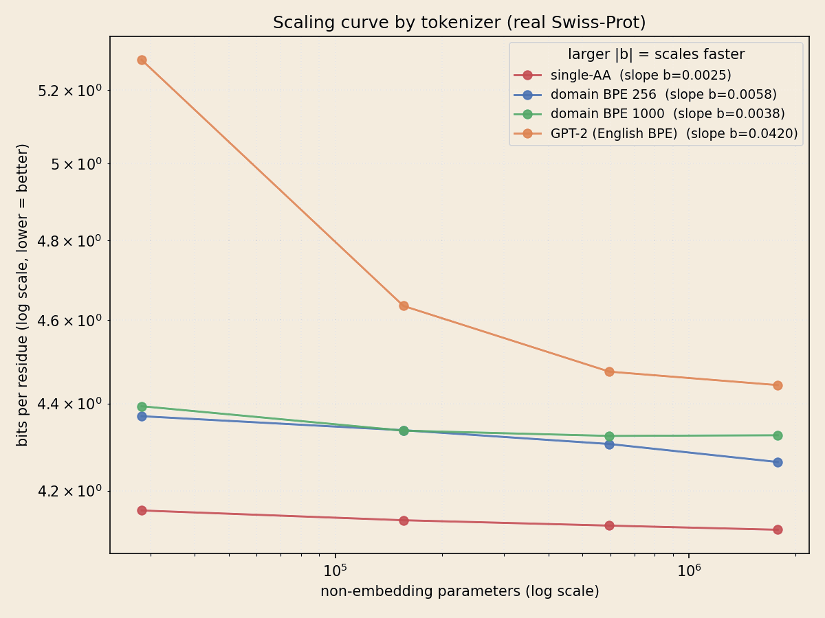Log-log plot of bits-per-residue versus non-embedding parameters for four tokenizers. Single-AA is a nearly flat low line; domain BPE lines slope down ~2x steeper and converge toward it; GPT-2 English BPE is a high line that drops steeply but stays worst.