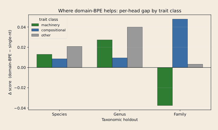 Bar chart of per-head score gap between domain-BPE and single-nt by trait class across species, genus, and family splits.
